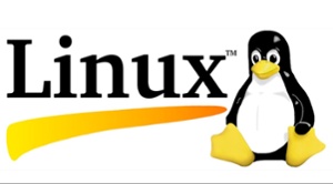 Symbol-Linux-1