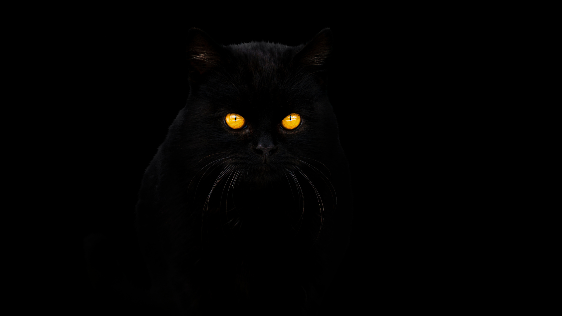 Desmantelamiento del Ransomware BlackCat por el FBI