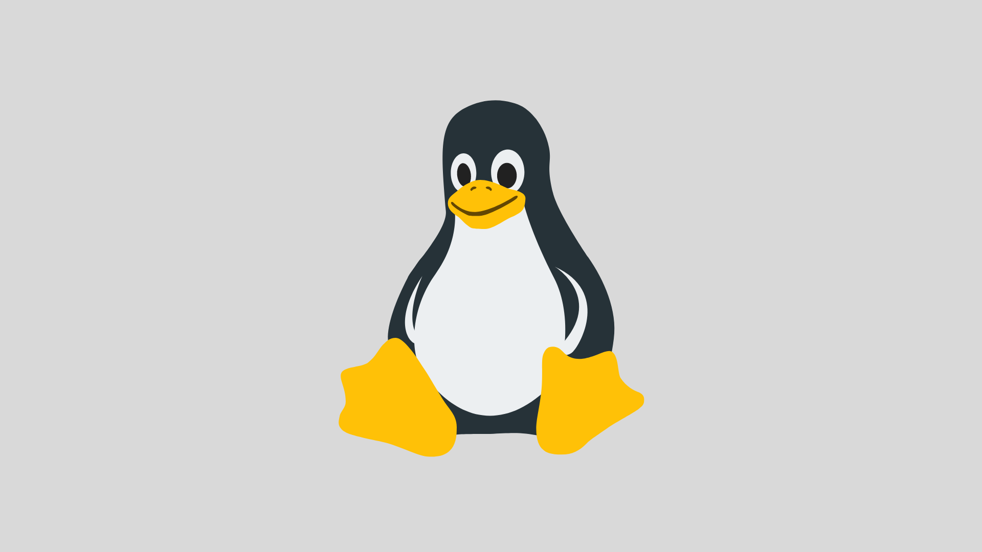 Falla crítica en Glibc de Linux: Acceso Root a Hackers