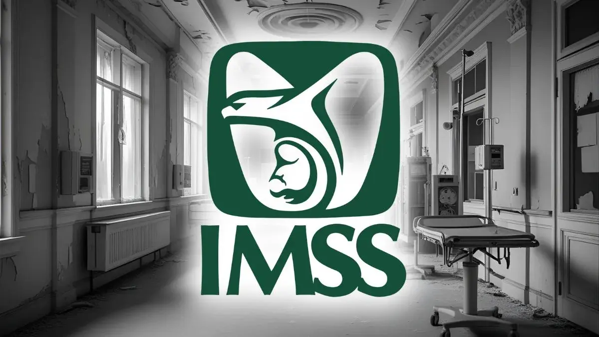 Filtración de datos en el imss
