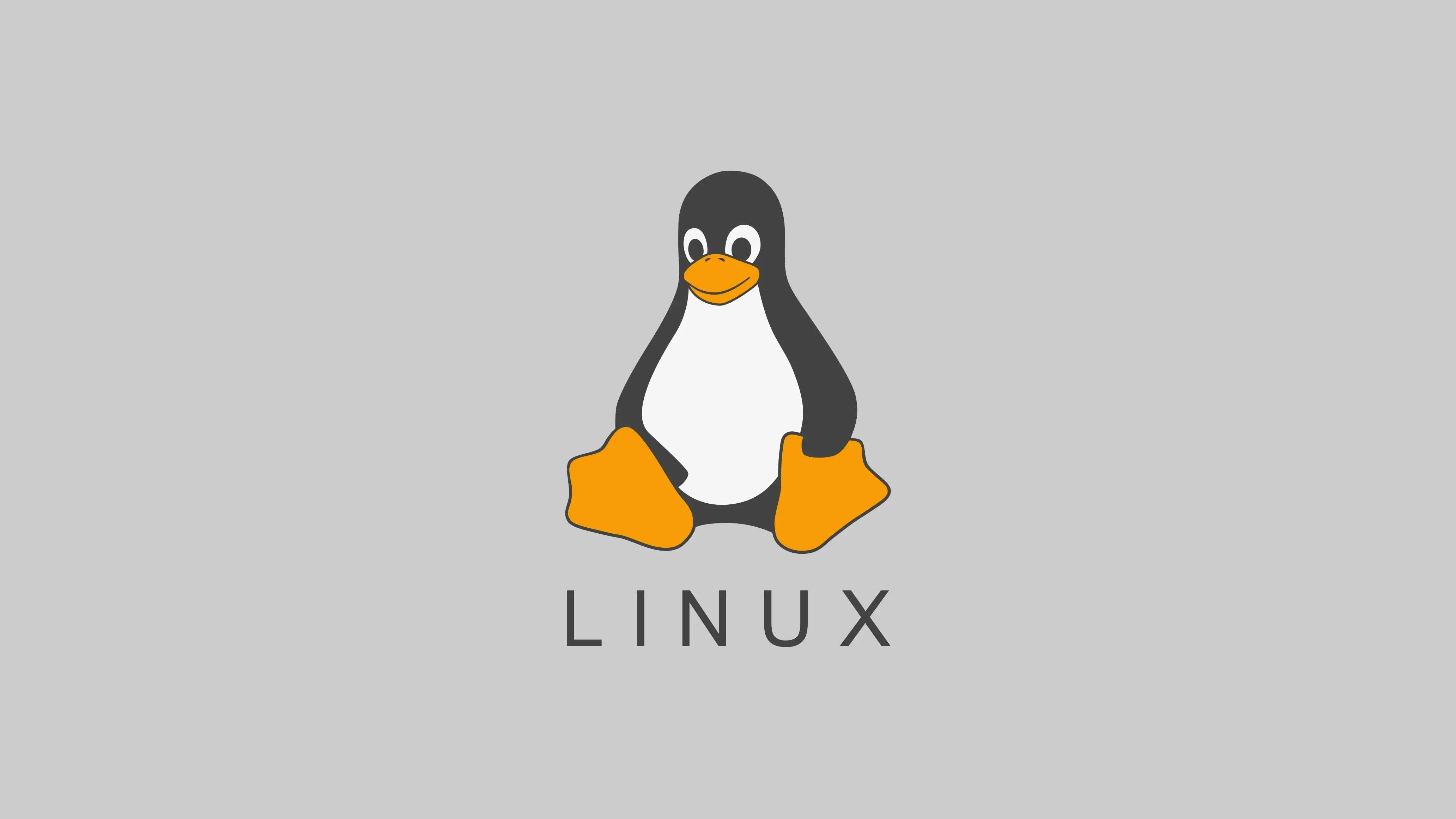 Hackers Atacan Linux Usando Vulnerabilidad Antigua en Apache ActiveMQ