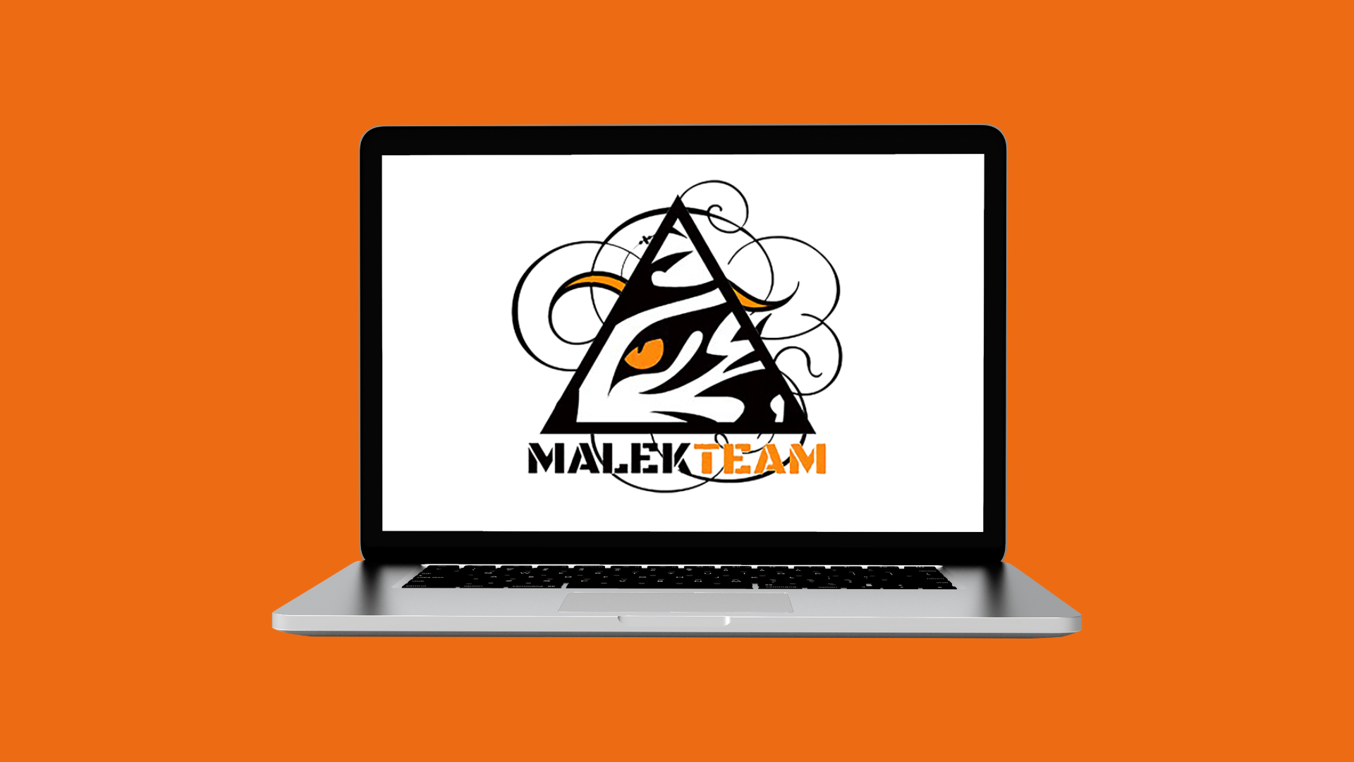 Malek Team: Una mirada profunda al perfil del Dark Web