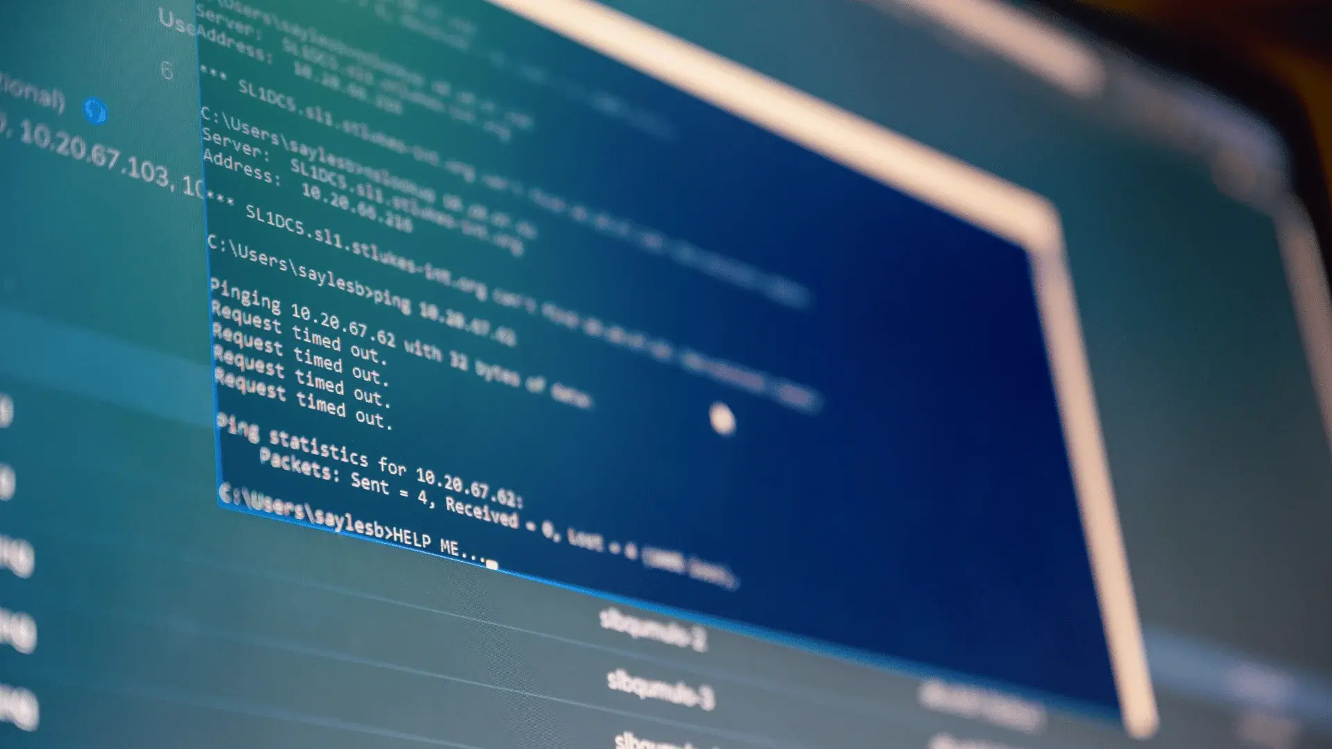 The Best Programming Languages for Cybersecurity