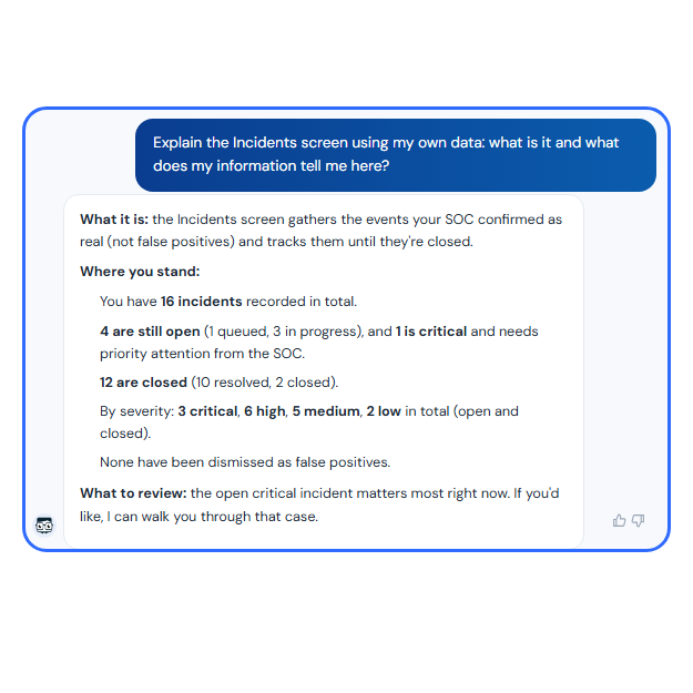 TecnetSOC portal: Neo explains the Incidents screen