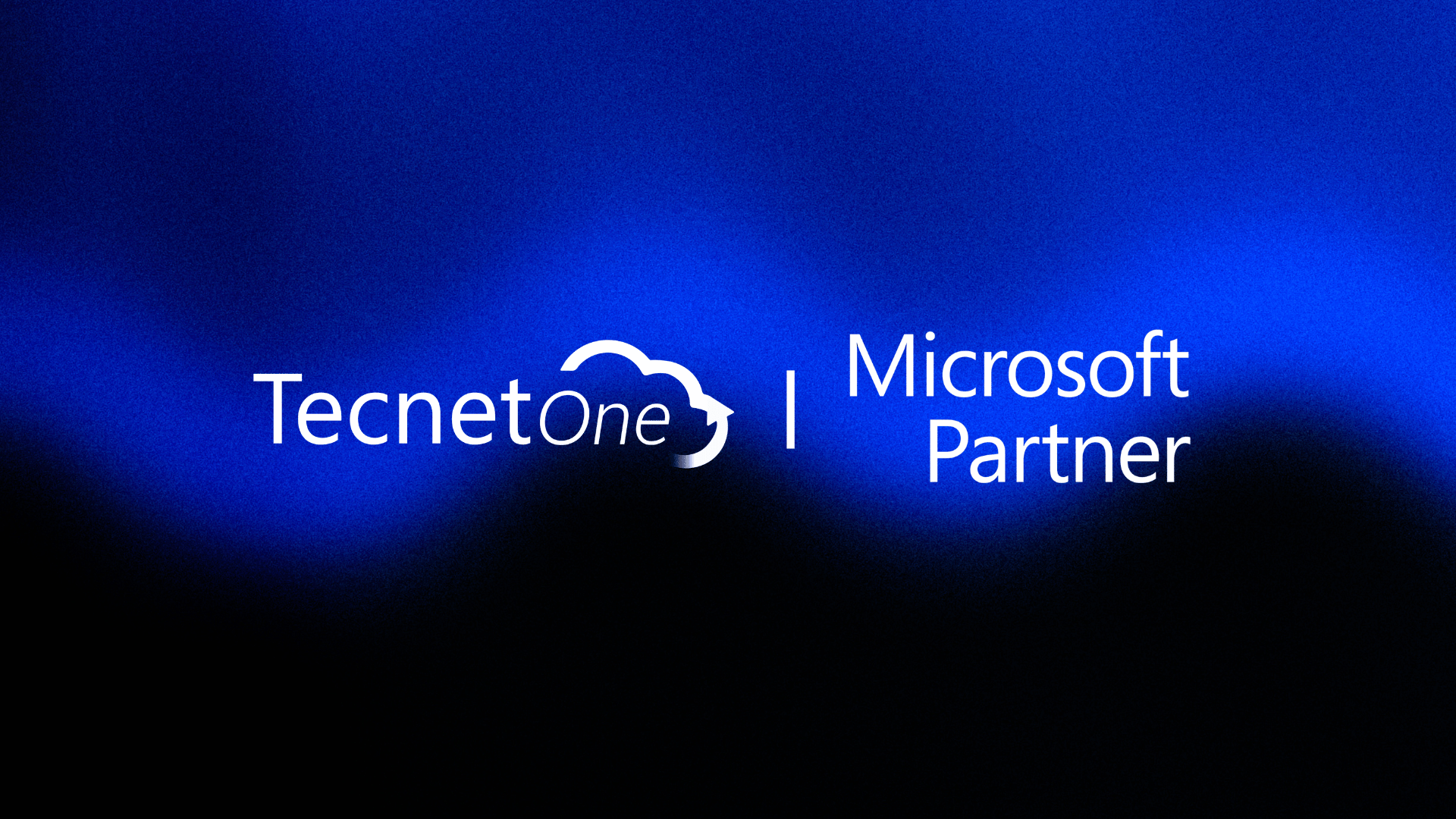 Microsoft Partner en México